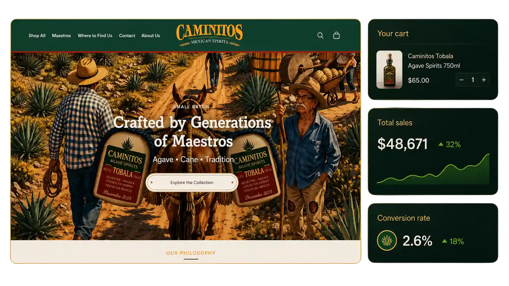 Shopify development services storefront interface